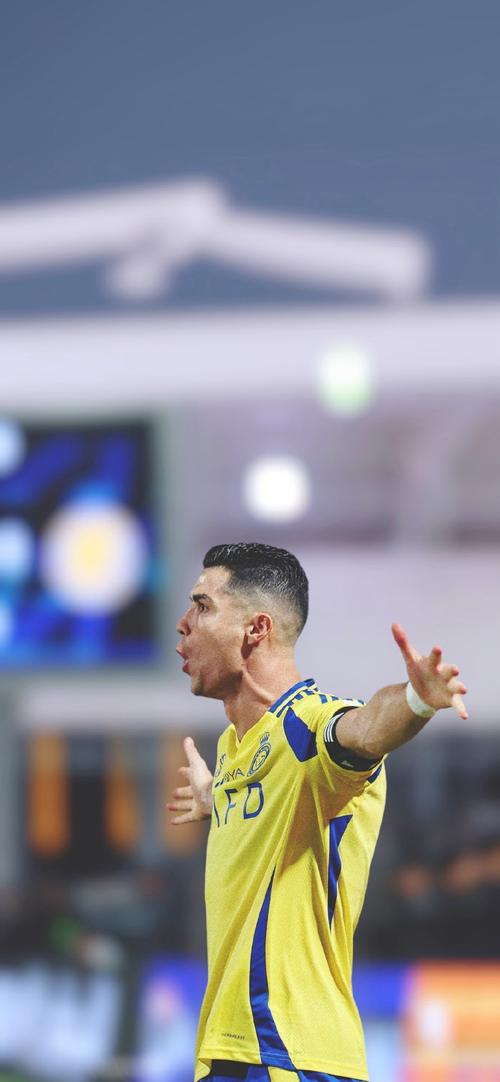 植物大战僵尸杂交版2.1版怎么设置全屏 全屏设置方法分享