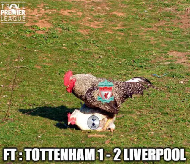 《RAVEN2：渡鸦》震撼上线！全新世界方舟及多款活动等你探索